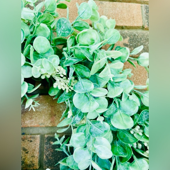 Seeded Baby Eucalyptus Twig Wreath - Picture 8 of 12